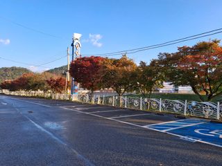 MSG0074님의 자유주제 · 자유게시판 작성글 사진