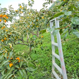 독고다이님의 작성글 사진