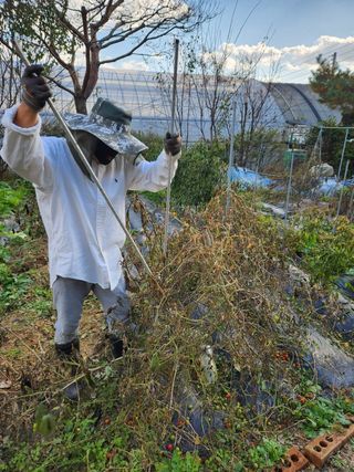 장석오님의 자유주제 · 자유게시판 작성글 사진
