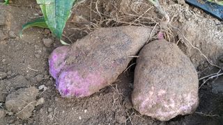 정보센터님의 작성글 사진