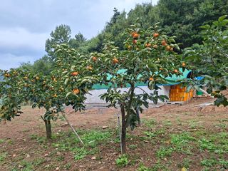 대구 바이오님의 자유주제 · 자유게시판 작성글 사진