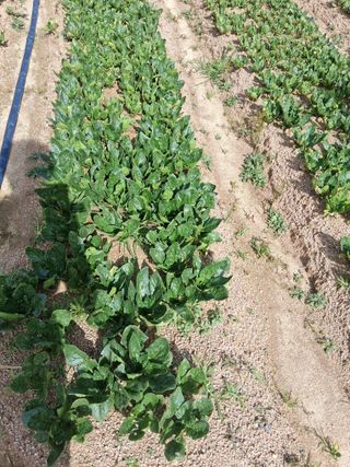 박영선님의 작성글 사진