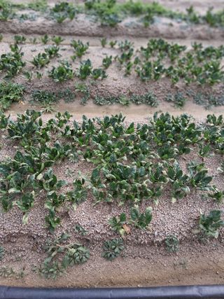 박영선님의 작성글 사진