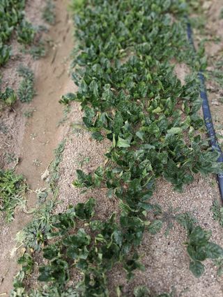 박영선님의 작성글 사진