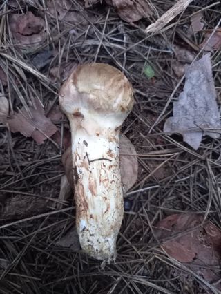 연향님의 자유주제 · 자유게시판 작성글 사진