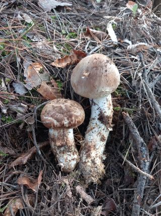 연향님의 자유주제 · 자유게시판 작성글 사진