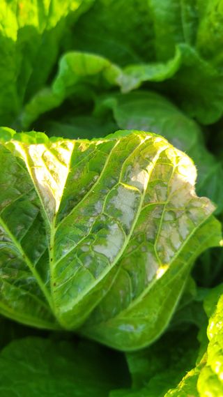 김민희님의 자유주제 · 자유게시판 작성글 사진