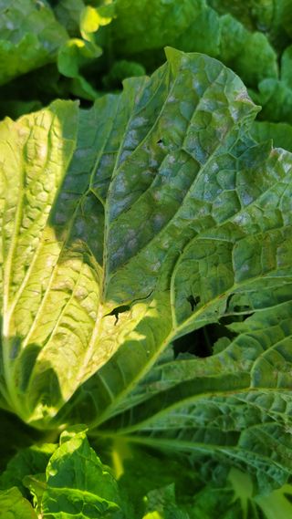 김민희님의 자유주제 · 자유게시판 작성글 사진