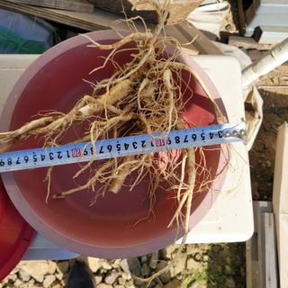 이창화님의 자유주제 · 자유게시판 작성글 사진