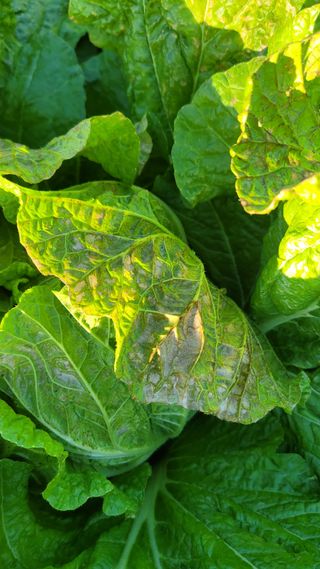 김민희님의 자유주제 · 자유게시판 작성글 사진