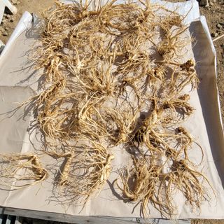 이창화님의 자유주제 · 자유게시판 작성글 사진