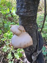 팜모닝 자유주제·자유게시판 게시글 이미지