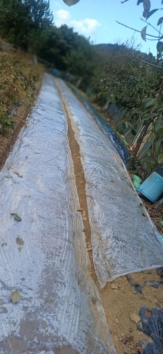 초보퍼머5도2촌준비님의 자유주제 · 자유게시판 작성글 사진