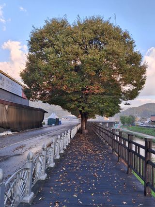 MSG0074님의 자유주제 · 자유게시판 작성글 사진