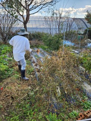 장석오님의 자유주제 · 자유게시판 작성글 사진