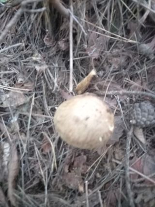 연향님의 자유주제 · 자유게시판 작성글 사진