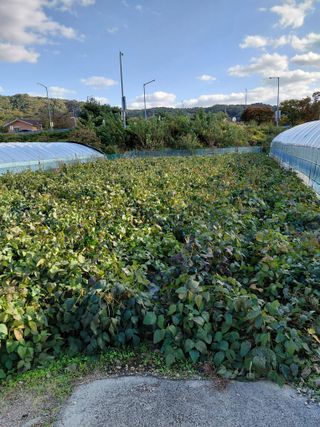 오화순님의 자유주제 · 자유게시판 작성글 사진