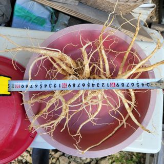 이창화님의 자유주제 · 자유게시판 작성글 사진