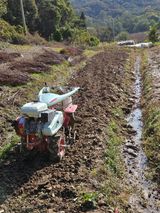 팜모닝 자유주제·자유게시판 게시글 이미지