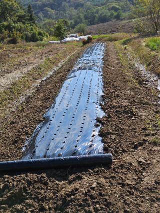 이무기님의 자유주제 · 자유게시판 작성글 사진