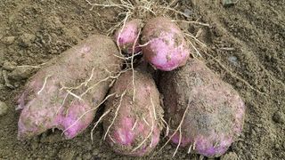 정보센터님의 작성글 사진