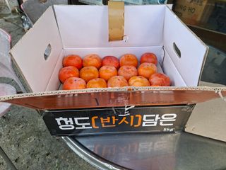 대구 바이오님의 자유주제 · 자유게시판 작성글 사진