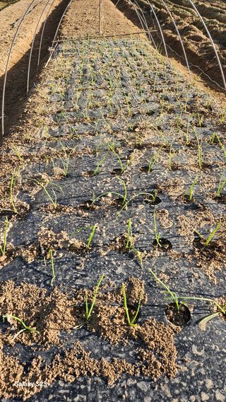 서상진님의 자유주제 · 자유게시판 작성글 사진