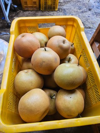 조영민님의 자유주제 · 자유게시판 작성글 사진