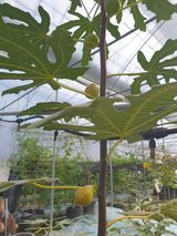 팜모닝 자유주제·자유게시판 게시글 이미지