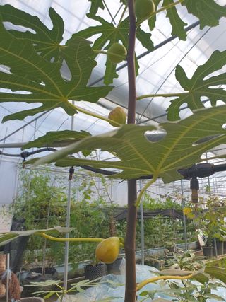 오이9886님의 자유주제 · 자유게시판 작성글 사진