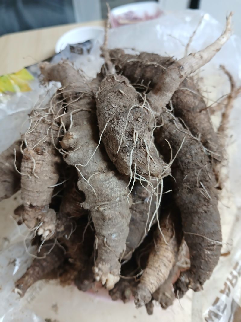 둥이 맘님의 장터 판매 상품 [자연산 더덕1.4키로] 첨부 사진