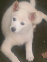 팜모닝 · 게시글 이미지