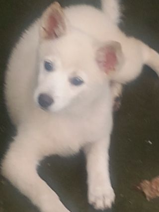 서기종님의 작성글 사진