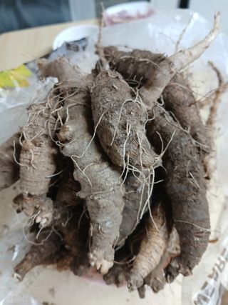 둥이 맘님의 작성글 사진