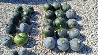 이갑덕님의 자유주제 · 자유게시판 작성글 사진