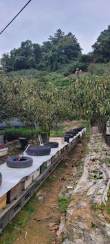 팜모닝 자유주제·자유게시판 게시글 이미지