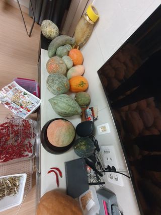 접시꽃님의 자유주제 · 자유게시판 작성글 사진