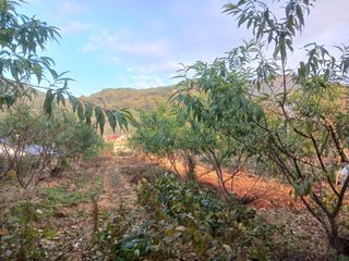 최낙원님의 자유주제 · 자유게시판 작성글 사진