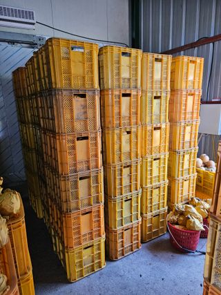 조영민님의 자유주제 · 자유게시판 작성글 사진