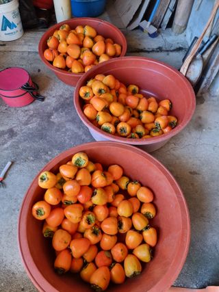 정석범님의 자유주제 · 자유게시판 작성글 사진