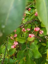 팜모닝 자유주제·자유게시판 게시글 이미지