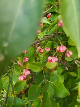 이동희님의 자유주제 · 자유게시판 작성글 사진