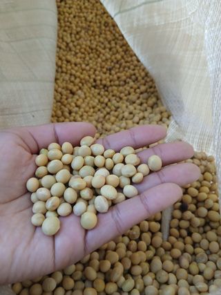 SARIFUDIN YASINTA MARYAMA님의 자유주제 · 자유게시판 작성글 사진