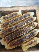 팜모닝 · 게시글 이미지