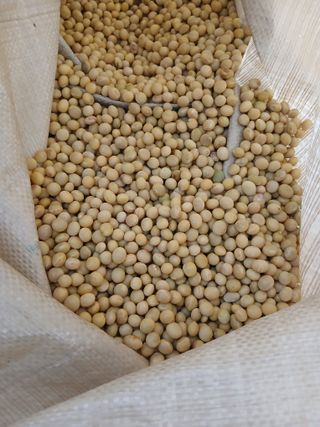 SARIFUDIN YASINTA MARYAMA님의 자유주제 · 자유게시판 작성글 사진