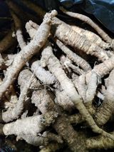 팜모닝 · 게시글 이미지