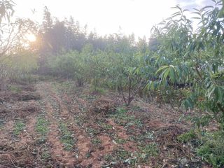 최낙원님의 자유주제 · 자유게시판 작성글 사진