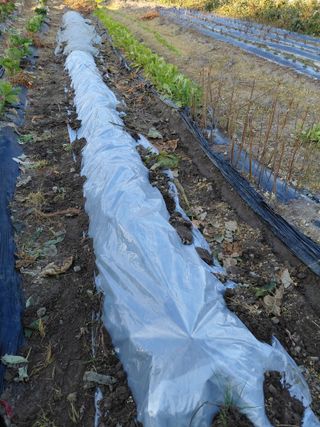 오화순님의 자유주제 · 자유게시판 작성글 사진