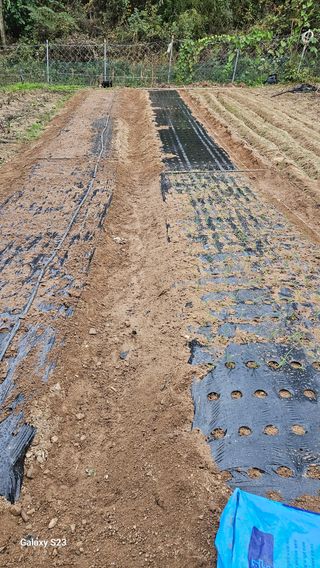 서상진님의 자유주제 · 자유게시판 작성글 사진