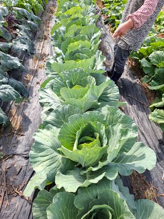 보헤미안님의 자유주제 · 자유게시판 작성글 사진